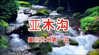 冬天去哪里旅游最好?-问答类网站,全方位解答你的疑惑