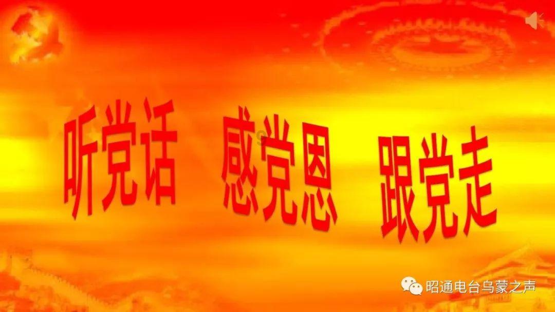 给猫起名叫黑麦好吗？